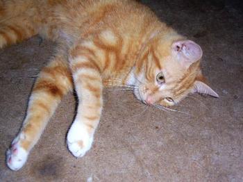 Eddi Bild von Edgar
