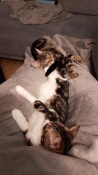 Caramel Bild von Caramel
