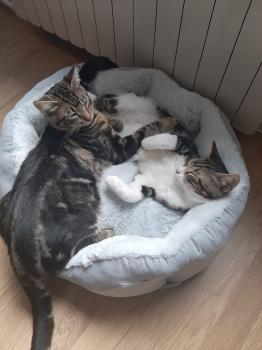 Caramel Bild von Caramel