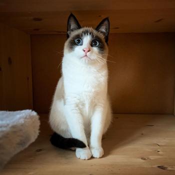 Sasha Bild von Sasha