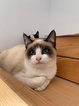 Sasha Bild von Sasha