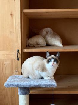 Sasha Bild von Sasha