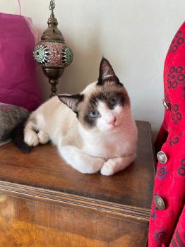 Sasha Bild von Sasha