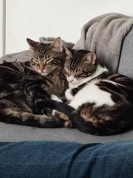 Caramel Bild von Caramel