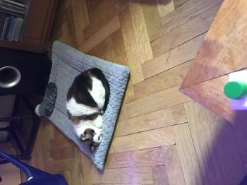 Yuma Bild von Yuma