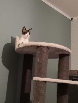 Sasha Bild von Sasha