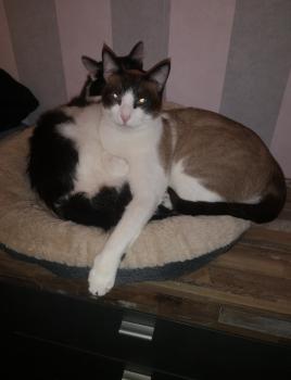 Sasha Bild von Sasha