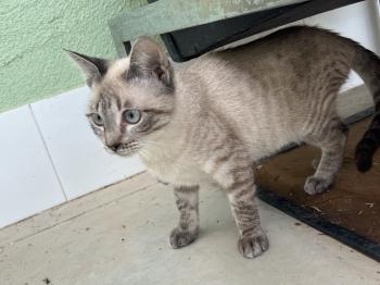 Helga Bild von Helga