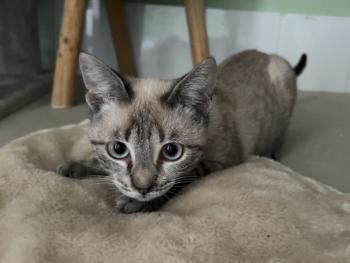 Helga Bild von Helga