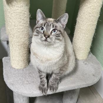 Helga Bild von Helga