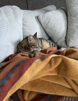 Pin Bild von Pin