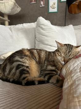 Pin Bild von Pin
