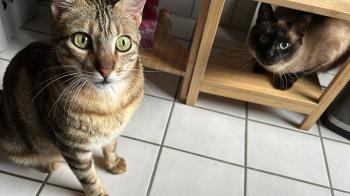 Pin Bild von Pin