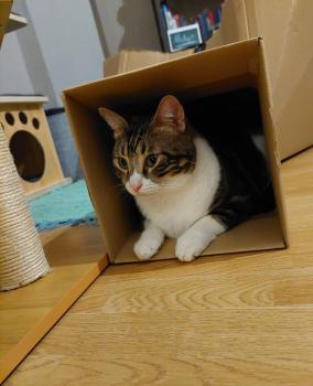 Caramel Bild von Caramel