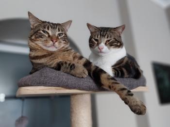Caramel Bild von Caramel