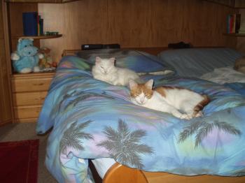 Nino Bild von Nino