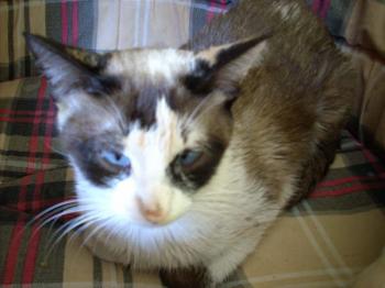 Nora Bild von Nora
