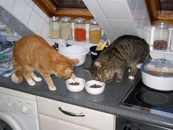 Edgar und Freund Tharuk Bild von Edgar