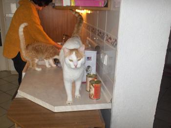 Oscar Bild von Oscar
