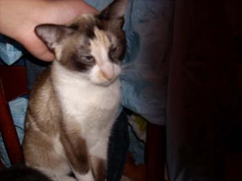 Nora Bild von Nora