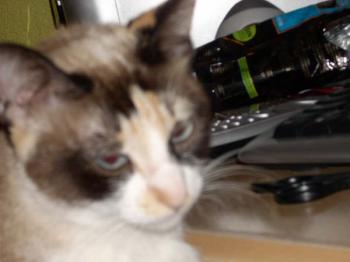 Nora Bild von Nora