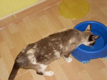 Nora Bild von Nora