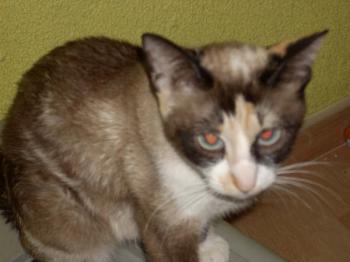 Nora Bild von Nora