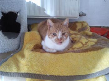 Benito Bild von Benito