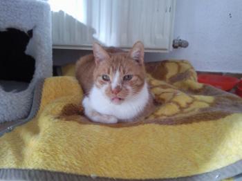 Benito Bild von Benito
