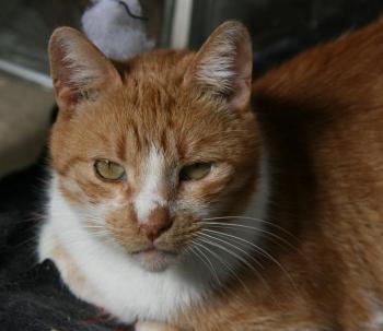 benito Bild von Benito