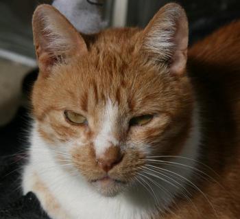 benito Bild von Benito