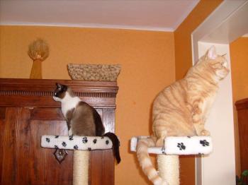 Cruce Bild von Cruce