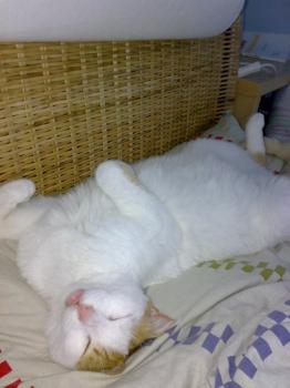 Oscar Bild von Oscar