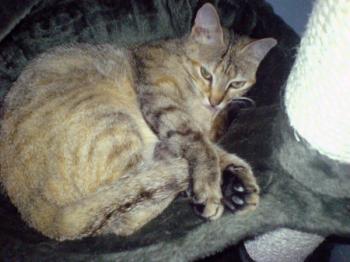 a Bild von Amy