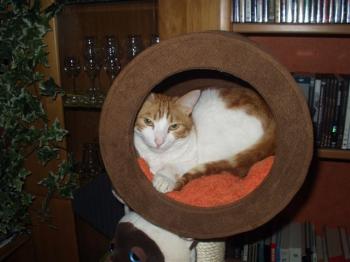 Nino Bild von Nino