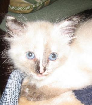 s Bild von Sunita