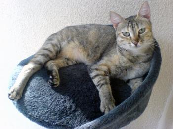 a Bild von Amy