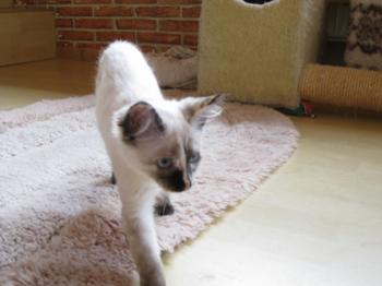 s Bild von Sunita