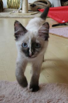 s Bild von Sunita