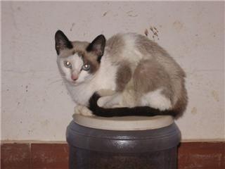 Yuma Bild von Yuma