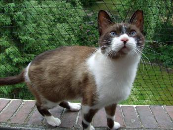 Willy Bild von Cruce