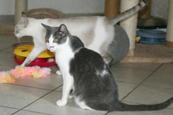 l Bild von Lucy