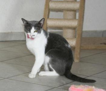 l Bild von Lucy