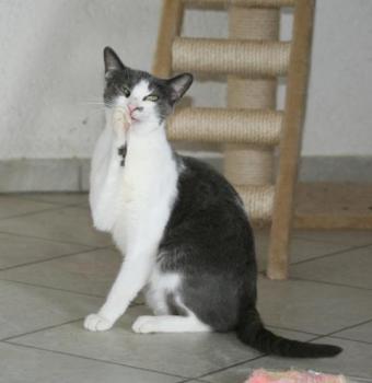 l Bild von Lucy