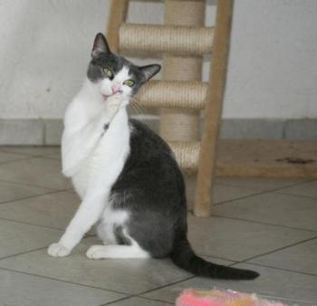 l Bild von Lucy