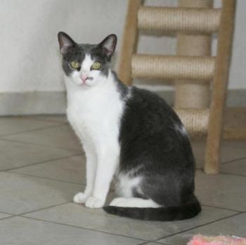 l Bild von Lucy