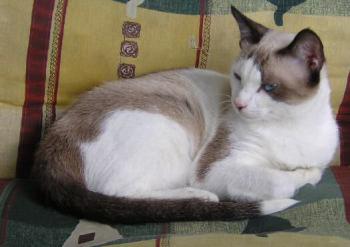 Yuma Bild von Yuma