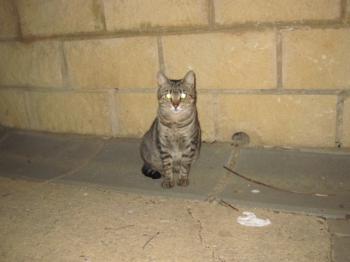 Ohne Namen 4771 Bild von Gipsy-Mimi