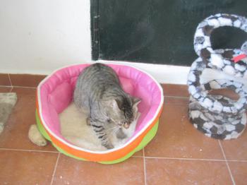 Gipsy-Mimi Bild von Gipsy-Mimi