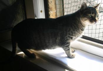 Gipsy-Mimi Bild von Gipsy-Mimi